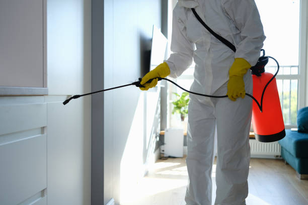 Best Pest Prevention Services  in Centre, AL